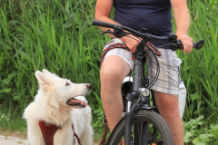 1_Rainer-Witte-mit-Barny-Kanadischer-Schaeferhund-IMG_7510lu