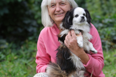 1_Sonni-Tonne-mit-Benny-Mischling-mit-Shih-Tzu-IMG_0718lu