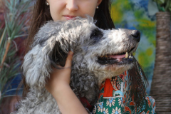 Esther-Piotrowski-mit-Junior-Vater-Koenigspudel-Mutter-Mischling-IMG_2060lu